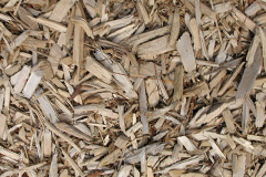 biomass boilers West Sussex